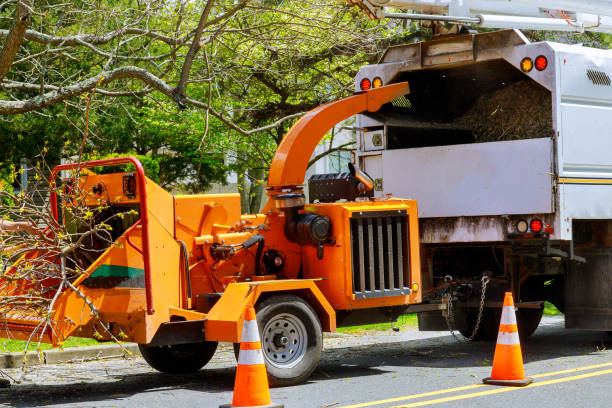 Leaf Removal in Wolfdale, PA